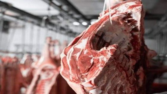 عااجل… الأمن يلاحق مروجي الأخبار الزائفة حول تسمم اللحوم الحمراء بعدد من المدن المغربية