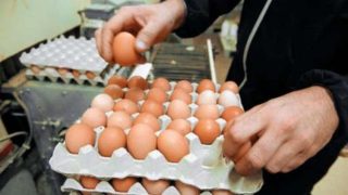 لأول مرة منذ شهور ولعقبة لمطشة ولبصلة وباقي السلع!… انخفاض أسعار البيض والثمن يقارب درهم واحد