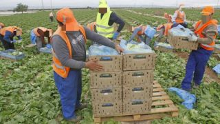 المغاربة يتصدرون الجاليات الأجنبية في إسبانيا بأرقام قياسية ويساهمون بشكل كبير في سوق الشغل