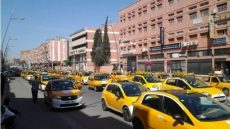 بعد زيادة الطاكسيات الكبيرة…. مهنيون بسيارات الأجرة الصغيرة ببني ملال يعتزمون الزيادة على المواطن في التسعيرة ويقدمون اعتذارهم للساكنة!