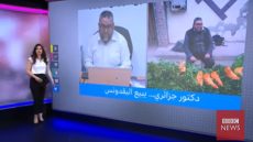 ضجة بالفيديو وبعدما أغلقت في وجهه الأبواب!… قناة bbc تنشر قصة رجل جزائري معطل حاصل على دكتوراه في علم الاجتماع وقرر بيع ” القزبر” لضمان عيش أبنائه!