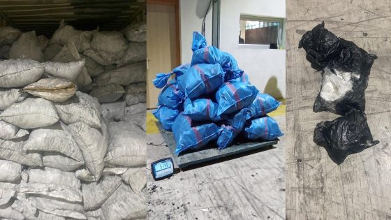 برافو وهذي عملية نوعية… تنسيق بين البوليس والجمارك يفضي الى حجز كمية ضخمة من الكوكايين فاقت نصف طن كانت مخبية فخناشي ديال الفاخر وغاديا لبلجيكا
