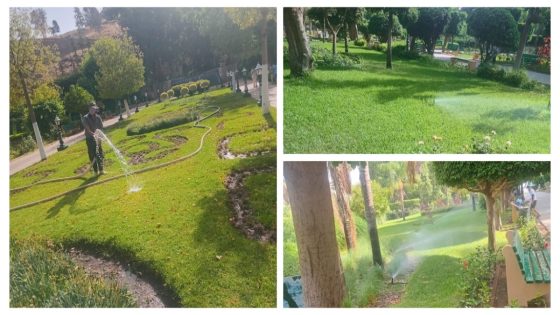 برافو عليهم… مجهودات كبيرة لعمال جماعة بني ملال لسقي الفضاءات الخضراء و الحفاظ على جمالية الحدائق والمساحات المغروسة بعين اسردون  