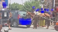 عودة فوضى “الكارُّوات” واحتلال الملك العام إلى شوارع بني ملال: حلم تحويل القرية الكبيرة إلى عاصمة الجهة يتحول إلى سراب 