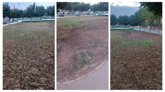 مواطنون يرحبون بتعشيب الحدائق بحي الأطلس بشارع محمد السادس ببني ملال وينبهون من خرابها بسبب “الإهمال وتعثر الأشغال”!