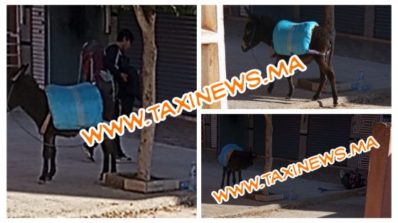 عاجل وحصري… سائح ياباني يصل بني ملال على ظهر حمار عبر مسالك تاريخية للقوافل من خنيفرة ومتوجها لمراكش