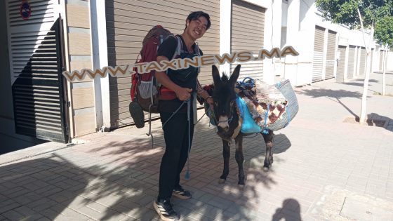 حصريا… تاكسي نيوز تجري حوارا مع السائح الياباني Kanta Miyamoto خلال عبوره مدينة بني ملال على ظهر حمار قادما من فاس خنيفرة إلى مراكش( سبب اختيار الحمار والرحلة…)