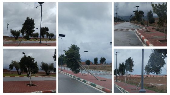 عاجل والسلامة… الرياح القوية والأمطار الغزيرة تسقط مجموعة من الأشجار بمنطقة “أكروبول” ببني ملال