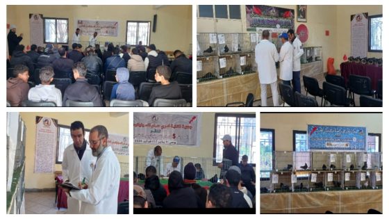 بالصور وبمشاركة واسعة للمواليع… جمعية النخبة لحمام السيفيانوس المغربي تنظم بنجاح فعاليات المعرض الخامس ببني ملال