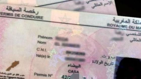 هاهي فروسكم… إطلاق عملية واسعة لتغيير رخص السياقة والبطائق الرمادية إلى النسخ الإلكترونية الحديثة