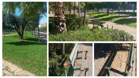 هاكا بغينا الجرادي يكونو فالشوارع والأحياء وبالصور… جماعة بني ملال دارت مجهود كبير فتهيئة جنبات شارع محمد السادس بالمساحات الخضراء والكراسي وحاويات القمامة ومواطنون يوجهون الشكر لرئيس الجماعة وتايطلبو منو يشغلو عساسة باش مايبقاش تخريب هاد الفضاءات