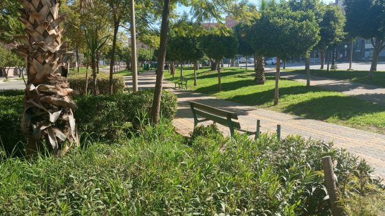 طقس أول أيام رمضان… ارتفاع في درجات الحرارة بعدد من المناطق وهذه مقاييسها = نشرة جوية=