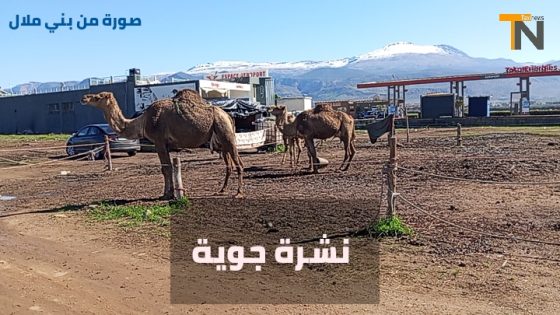 ارتفاع في درجات الحرارة بعدد من المدن وهذه مقاييسها = نشرة جوية=