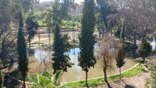 بغينا حديقة فالمستوى!… مواطنون ببني ملال يطالبون والي الجهة باش يكون اصلاح حديقة تمكنونت مزيان ومايبقاش داك الحوض الكبير ديال الما لي تايتحول لمستنقع و جامع الجران والحشرات ومشوه المنظر ويقويو الانارة ويصاوبو الطريق فيها ويحاربو الكلاب الضالة والمتسكعين والمخمورين