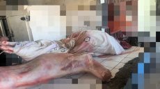 عاجل … السلطات تحجز أزيد من 100 كلغ من اللحوم مجهولة المصدر داخل محل للجزارة واعتقال الگزار