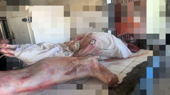 عاجل … السلطات تحجز أزيد من 100 كلغ من اللحوم مجهولة المصدر داخل محل للجزارة واعتقال الگزار