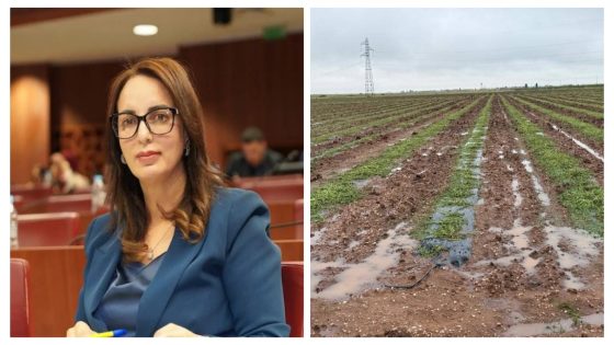 مشات ليهم الغلة والله يعوضهم… البرلمانية مديحة خيير تقف مع الفلاحين و تسائل الوزير حول تعويض فلاحي إقليم بني ملال المتضررين من “الرعدة” و “التبروري”
