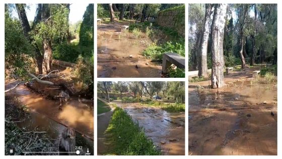 واش لي خسرات تاتبقا فبلاصتها!… واحد الشجرة طاحت فطريق لفريگو ببني ملال وتسببت في فيضان المياه والناس تحرمو من الجلوس والشباب تمنعو من ممارسة الرياضة وتايناشدو المسؤولين