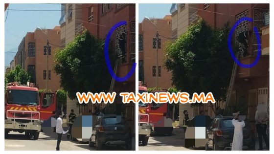 عاجل والله يعطيهم الصحة… تدخل إنساني لرجال الوقاية المدنية ينقذ قطة عالقة بطابق علوي ببني ملال (صور)