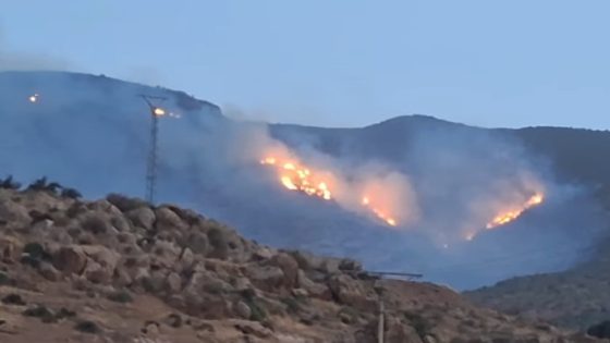 ياربي السلامة… حريق كبير يلتهم مساحات من الأشجار بغابات جبل أفورار وتدخل ميداني بمشاركة طائرة كنادير للسيطرة على النيران