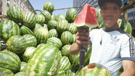 الدلاح مالقا لي يديه!… شائعات “مرض الدلاح” تربك الأسواق وتكبّد الفلاحين خسائر رغم جودة المحصول